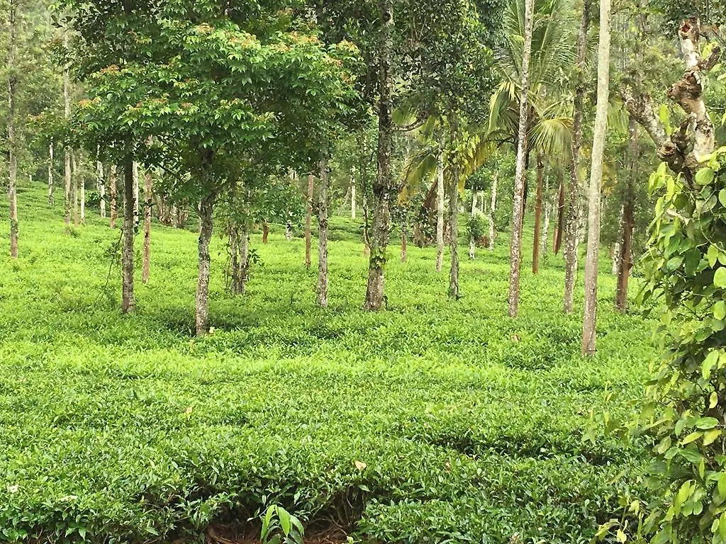 Harmony Farm Wayanad Vila Sultan Bathery 0*,
