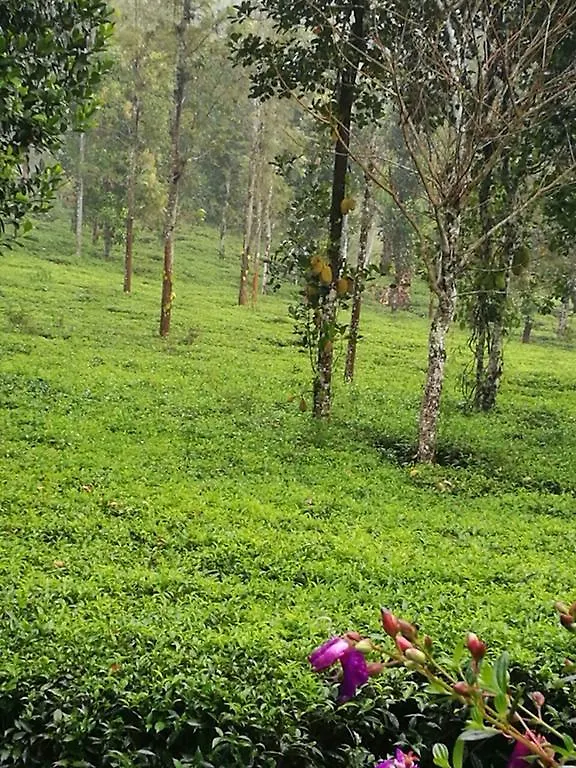 Harmony Farm Wayanad Vila Sultan Bathery