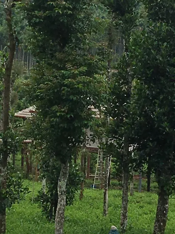 Harmony Farm Wayanad Vila Sultan Bathery 0*,