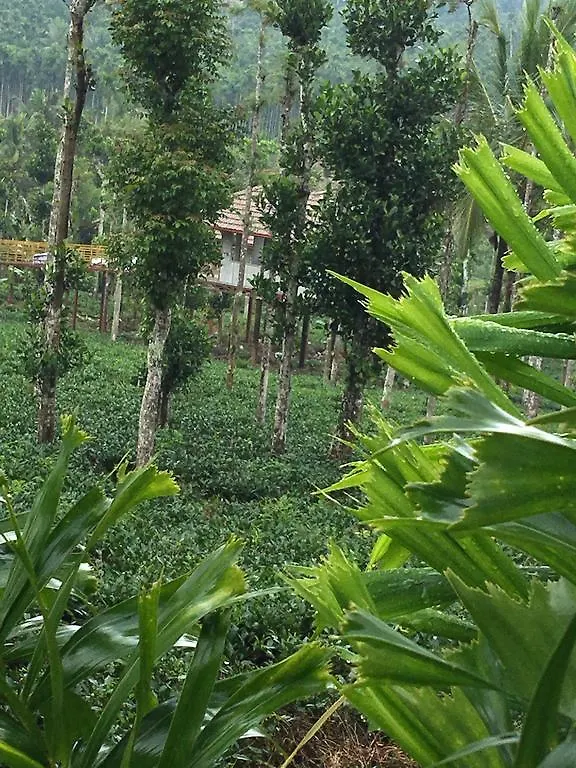 Alojamento de Turismo Rural Harmony Farm Wayanad Vila Sultan Bathery